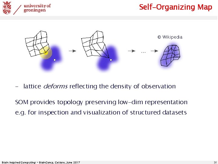 Self-Organizing Map © Wikipedia - lattice deforms reflecting the density of observation SOM provides