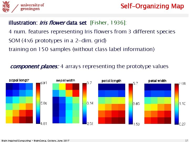 Self-Organizing Map illustration: Iris flower data set [Fisher, 1936]: 4 num. features representing Iris