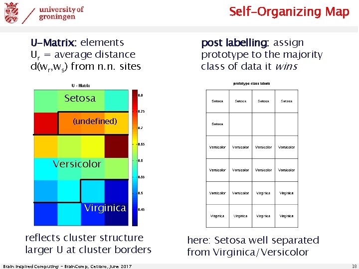 Self-Organizing Map U-Matrix: elements Ur = average distance d(wr, ws) from n. n. sites