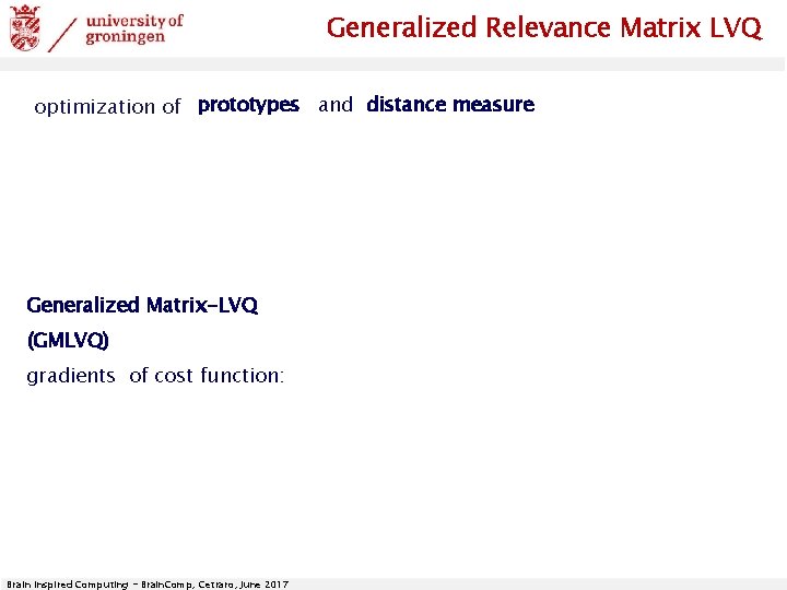 Generalized Relevance Matrix LVQ optimization of prototypes and distance measure Generalized Matrix-LVQ (GMLVQ) gradients