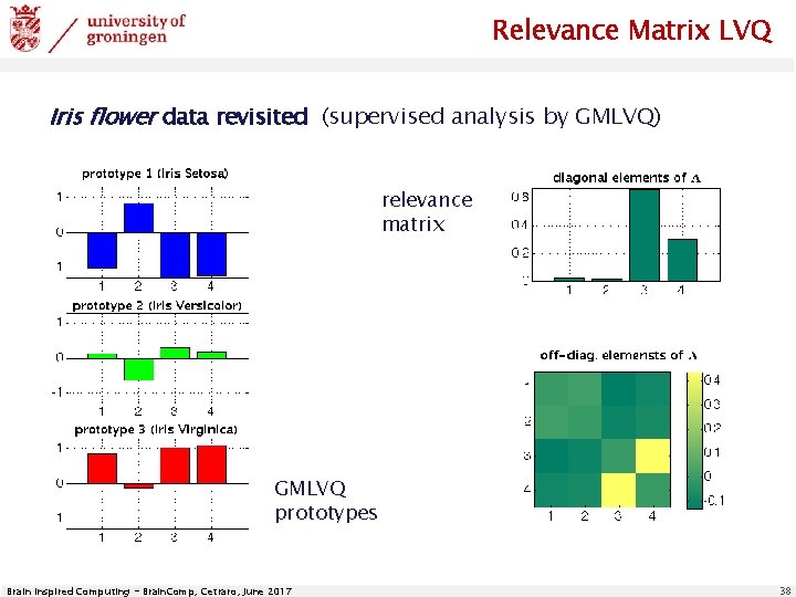 Relevance Matrix LVQ Iris flower data revisited (supervised analysis by GMLVQ) relevance matrix GMLVQ