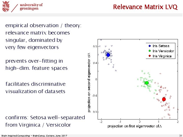 Relevance Matrix LVQ empirical observation / theory: relevance matrix becomes singular, dominated by very