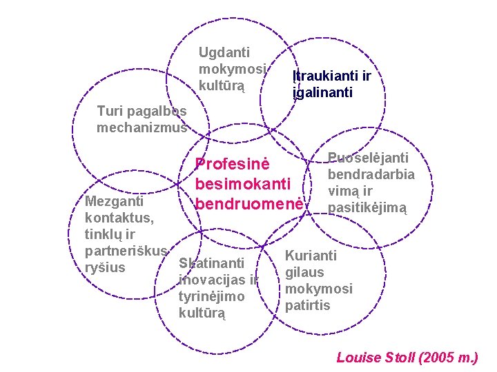 Ugdanti mokymosi kultūrą Įtraukianti ir įgalinanti Turi pagalbos mechanizmus Profesinė besimokanti bendruomenė Mezganti kontaktus,