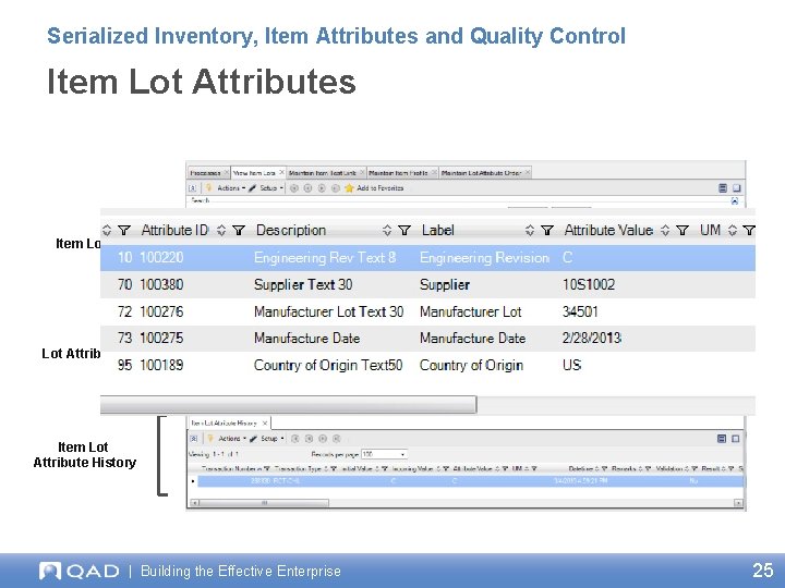 Serialized Inventory, Item Attributes and Quality Control Item Lot Attributes Item Lots Lot Attributes
