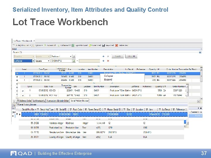 Serialized Inventory, Item Attributes and Quality Control Lot Trace Workbench | Building the Effective
