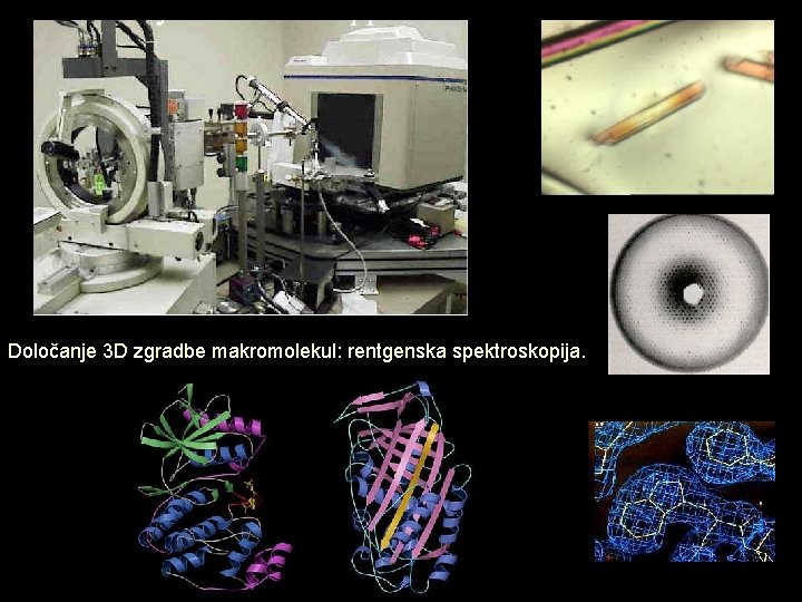 Določanje 3 D zgradbe makromolekul: rentgenska spektroskopija. 