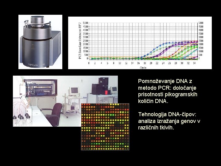 Pomnoževanje DNA z metodo PCR: določanje prisotnosti pikogramskih količin DNA. Tehnologija DNA-čipov: analiza izražanja