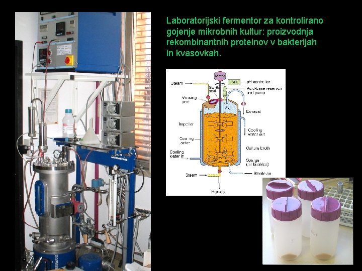 Laboratorijski fermentor za kontrolirano gojenje mikrobnih kultur: proizvodnja rekombinantnih proteinov v bakterijah in kvasovkah.