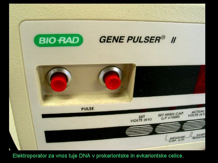 Elektroporator za vnos tuje DNA v prokariontske in evkariontske celice. 