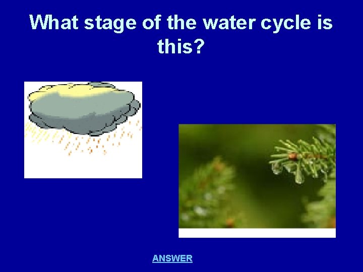 What stage of the water cycle is this? ANSWER 