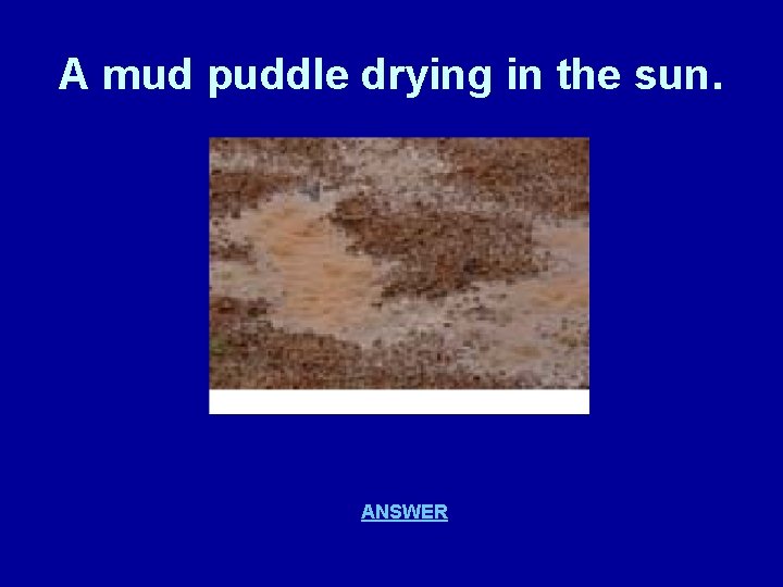 A mud puddle drying in the sun. ANSWER 