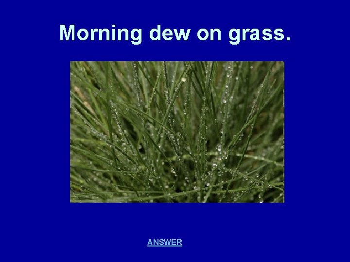 Morning dew on grass. ANSWER 