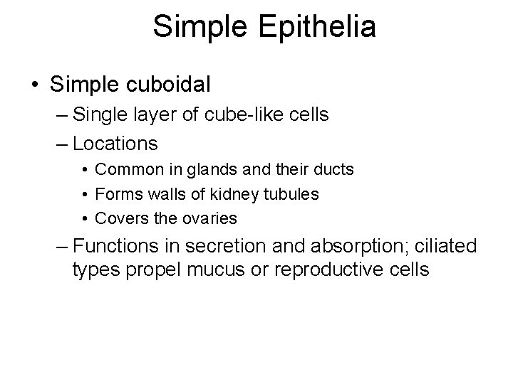 Simple Epithelia • Simple cuboidal – Single layer of cube-like cells – Locations •