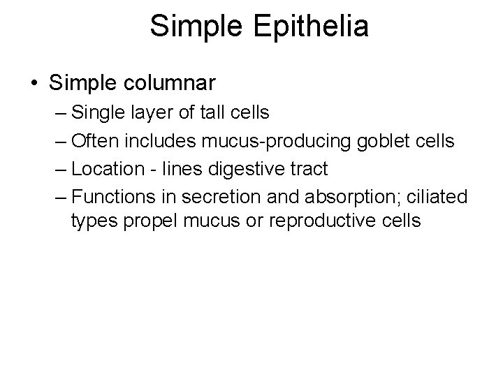 Simple Epithelia • Simple columnar – Single layer of tall cells – Often includes