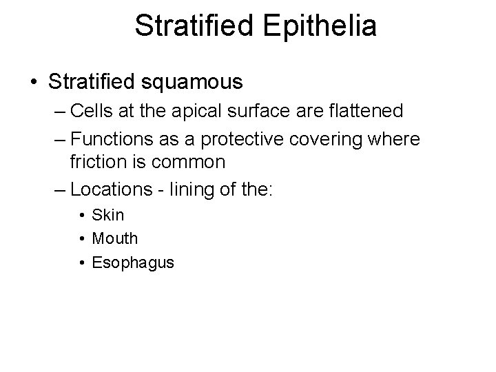 Stratified Epithelia • Stratified squamous – Cells at the apical surface are flattened –