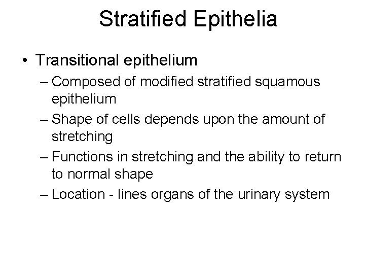 Stratified Epithelia • Transitional epithelium – Composed of modified stratified squamous epithelium – Shape