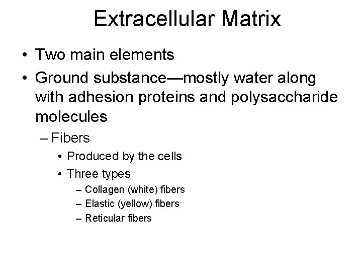 Extracellular Matrix • Two main elements • Ground substance—mostly water along with adhesion proteins