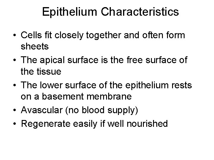 Epithelium Characteristics • Cells fit closely together and often form sheets • The apical