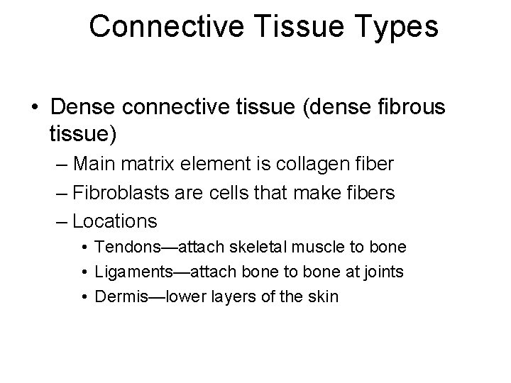 Connective Tissue Types • Dense connective tissue (dense fibrous tissue) – Main matrix element
