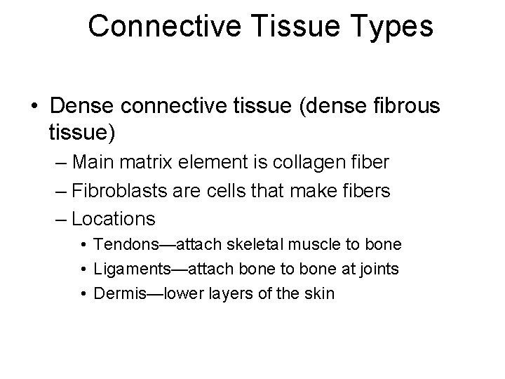 Connective Tissue Types • Dense connective tissue (dense fibrous tissue) – Main matrix element