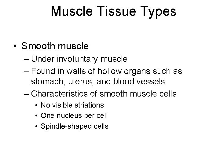 Muscle Tissue Types • Smooth muscle – Under involuntary muscle – Found in walls