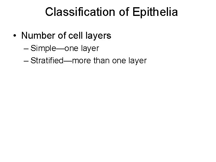 Classification of Epithelia • Number of cell layers – Simple—one layer – Stratified—more than