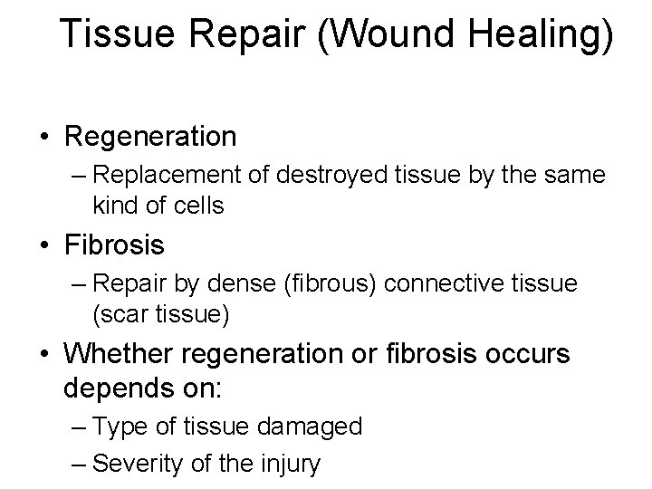 Tissue Repair (Wound Healing) • Regeneration – Replacement of destroyed tissue by the same