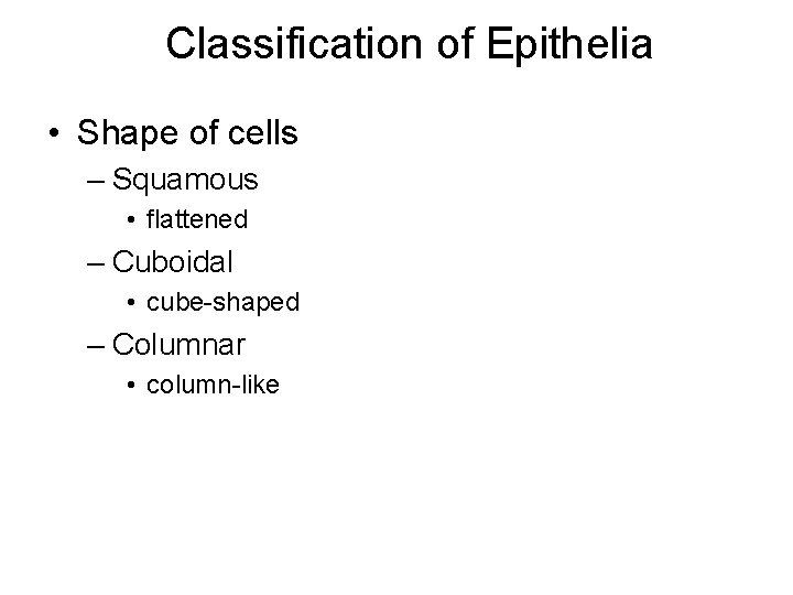 Classification of Epithelia • Shape of cells – Squamous • flattened – Cuboidal •