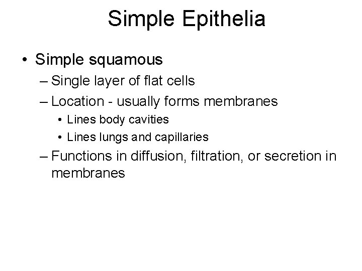 Simple Epithelia • Simple squamous – Single layer of flat cells – Location -