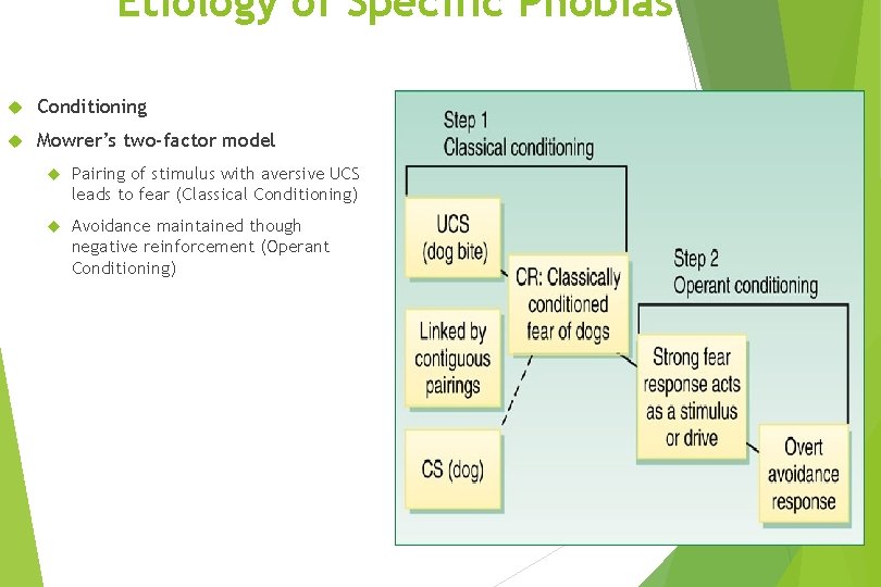 Etiology of Specific Phobias Conditioning Mowrer’s two-factor model Pairing of stimulus with aversive UCS