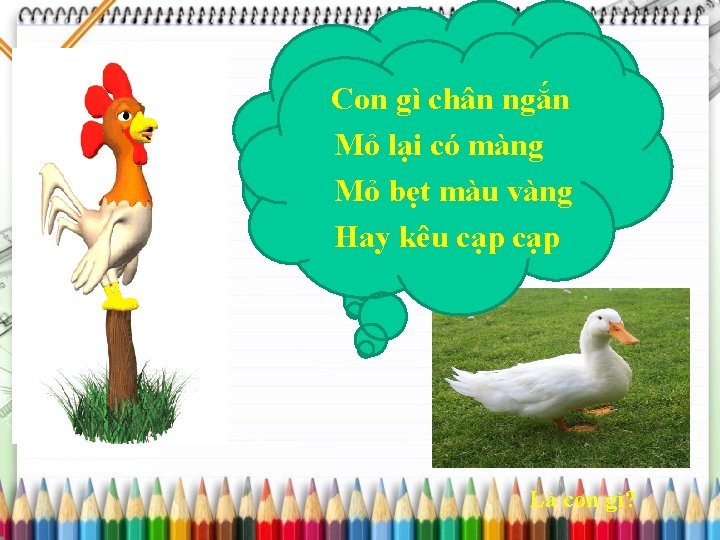 Con gì chân ngắn Mỏ lại có màng Mỏ bẹt màu vàng Hay kêu