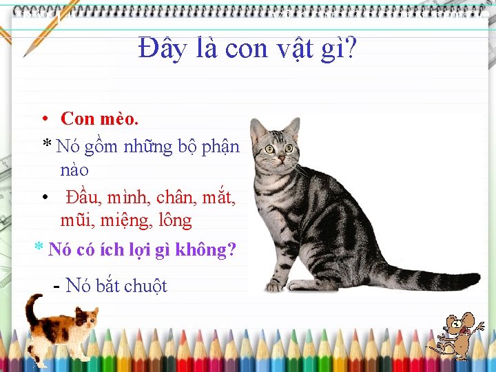 BÀI 14: VẼ CON VẬT QUEN THUỘC Đây là con vật gì? • Con