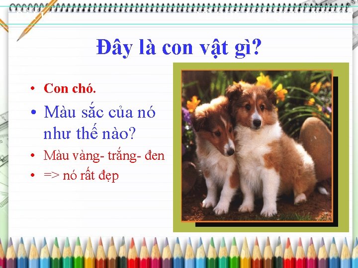 BÀI 14: VẼ CON VẬT QUEN THUỘC Đây là con vật gì? • Con