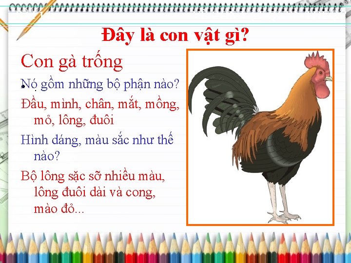 BÀI 14: VẼ CON VẬT QUEN THUỘC Đây là con vật gì? Con gà