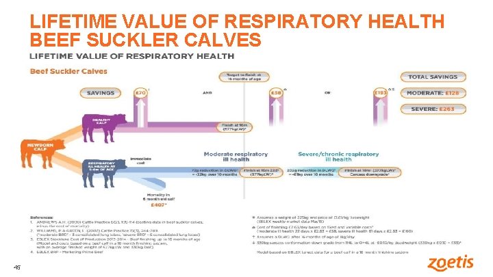 LIFETIME VALUE OF RESPIRATORY HEALTH BEEF SUCKLER CALVES 45 45 