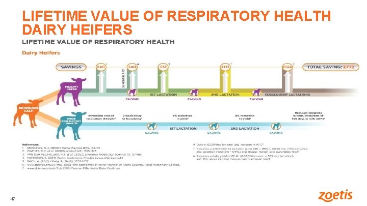 LIFETIME VALUE OF RESPIRATORY HEALTH DAIRY HEIFERS 47 47 