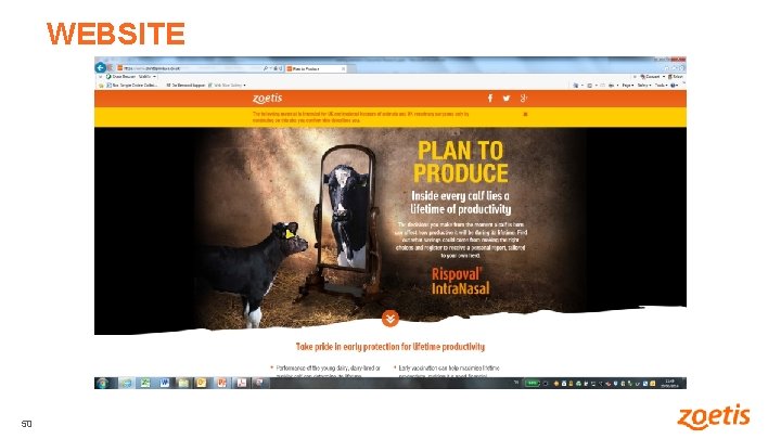 WEBSITE 50 50 