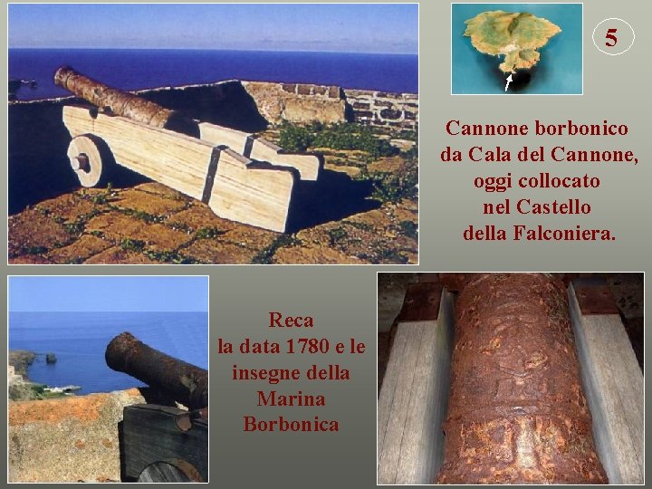 5 Cannone borbonico da Cala del Cannone, oggi collocato nel Castello della Falconiera. Reca