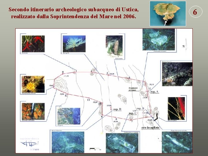 Secondo itinerario archeologico subacqueo di Ustica, realizzato dalla Soprintendenza del Mare nel 2006. 6
