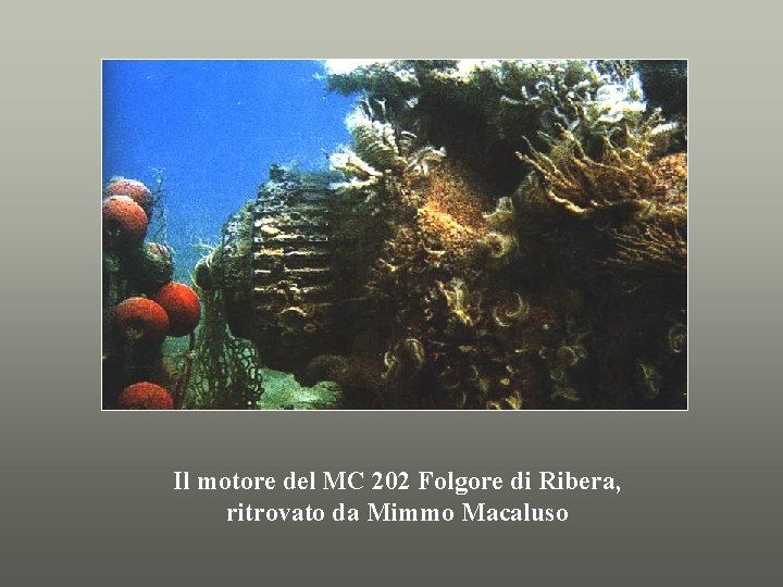 Il motore del MC 202 Folgore di Ribera, ritrovato da Mimmo Macaluso 