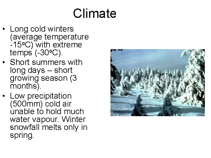 Climate • Long cold winters (average temperature -15 o. C) with extreme temps (-30