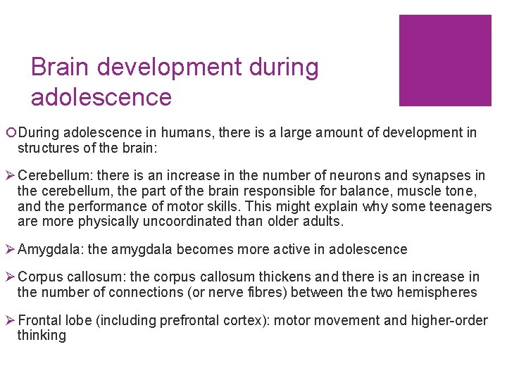 Brain development during adolescence ¡During adolescence in humans, there is a large amount of