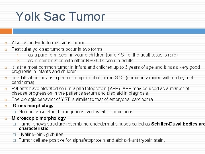 Yolk Sac Tumor Also called Endodermal sinus tumor Testicular yolk sac tumors occur in