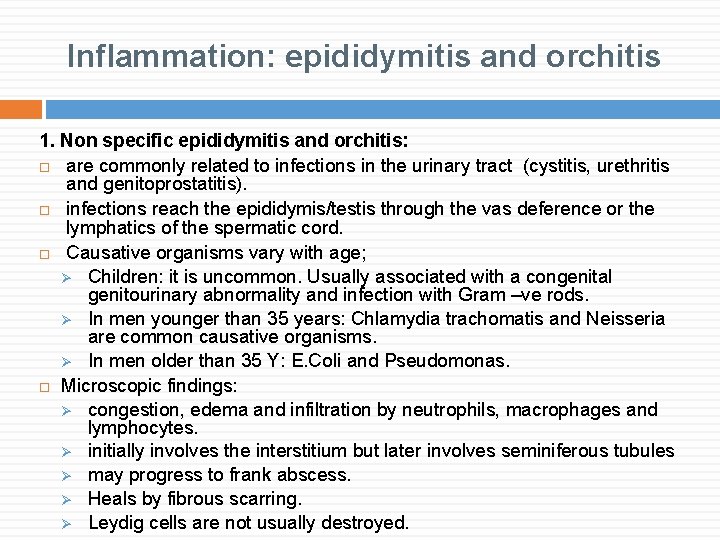 Inflammation: epididymitis and orchitis 1. Non specific epididymitis and orchitis: are commonly related to