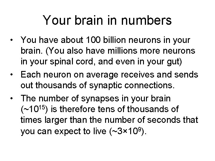 Your brain in numbers • You have about 100 billion neurons in your brain.
