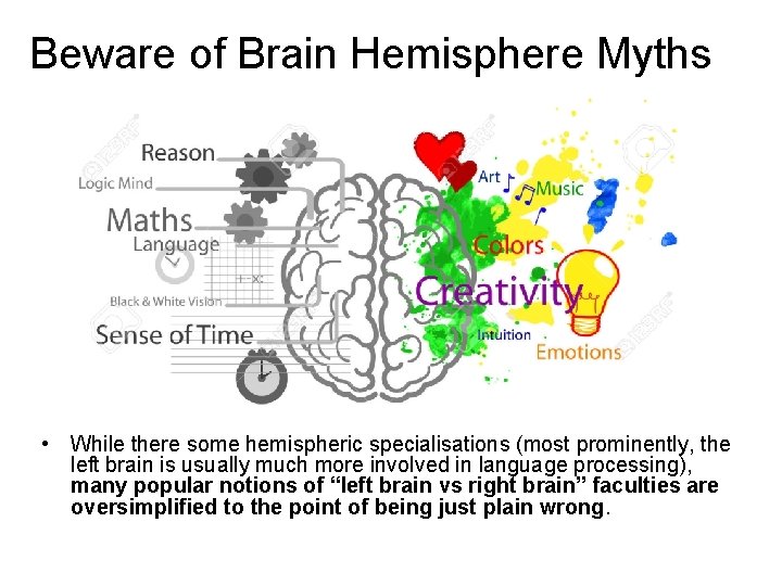 Beware of Brain Hemisphere Myths • While there some hemispheric specialisations (most prominently, the