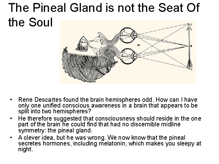 The Pineal Gland is not the Seat Of the Soul • Rene Descartes found