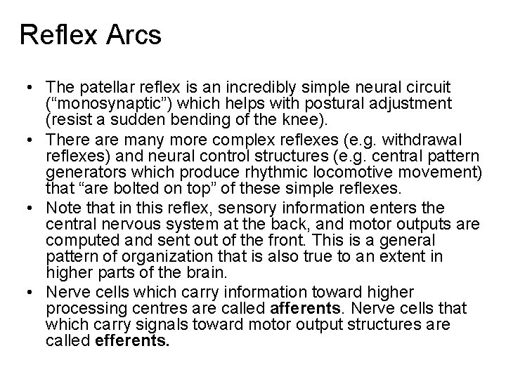 Reflex Arcs • The patellar reflex is an incredibly simple neural circuit (“monosynaptic”) which