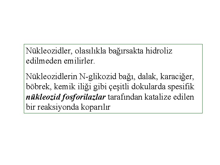 Nükleozidler, olasılıkla bağırsakta hidroliz edilmeden emilirler. Nükleozidlerin N-glikozid bağı, dalak, karaciğer, böbrek, kemik iliği