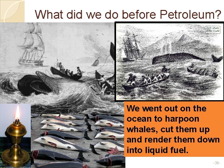 What did we do before Petroleum? We went out on the ocean to harpoon